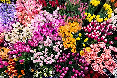 海量独立佳作来袭！ Steam十月新品节正式开启